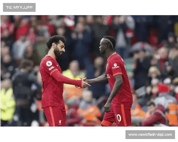 帕德博恩点球大战淘汰霍芬海姆，晋级德国杯下一轮